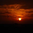 Sonnenuntergang am Strand von St. Peter Ording