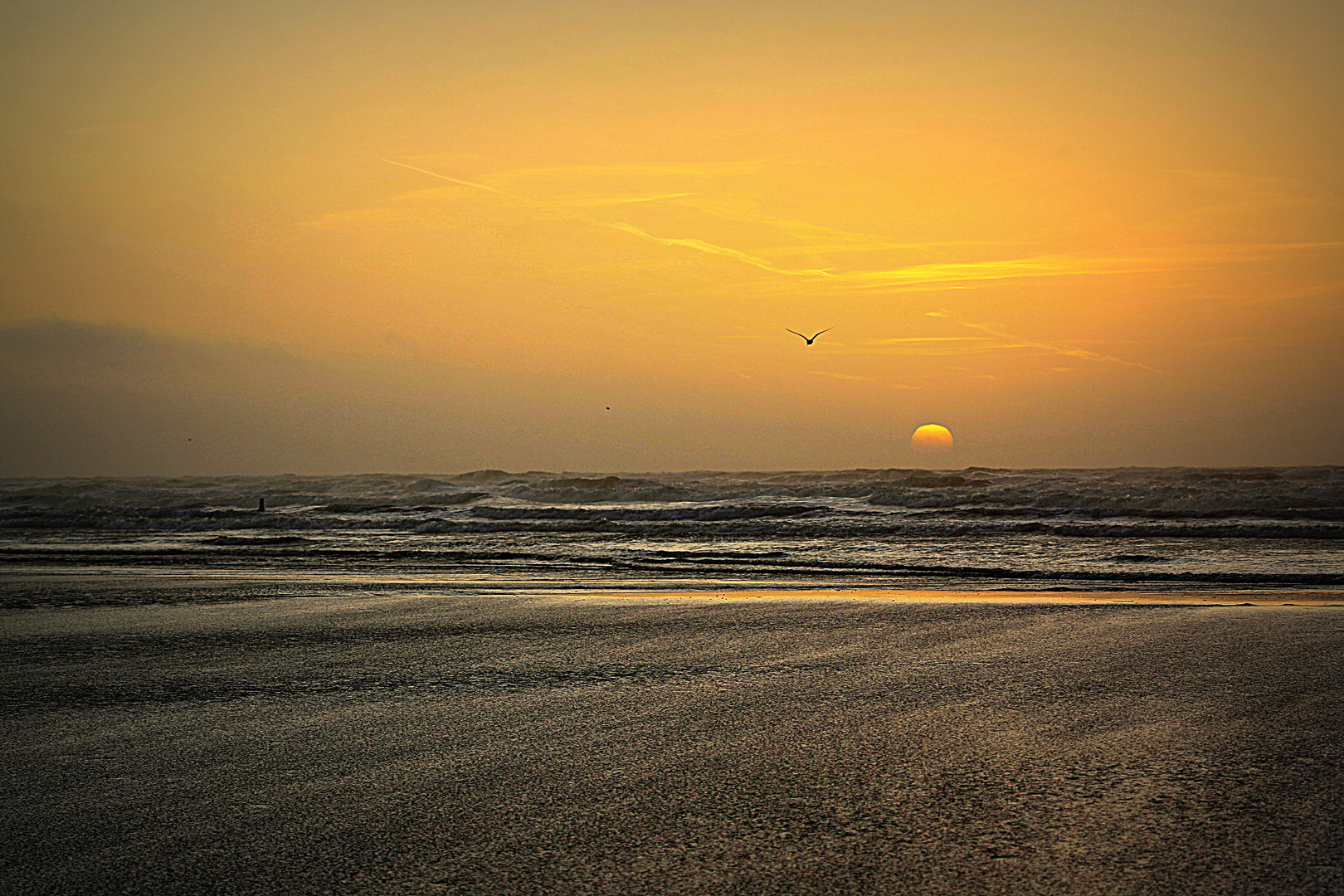 Sonnenuntergang am Strand von Sylt