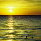 Sonnenuntergang am Strand von Timmendorf (Poel)