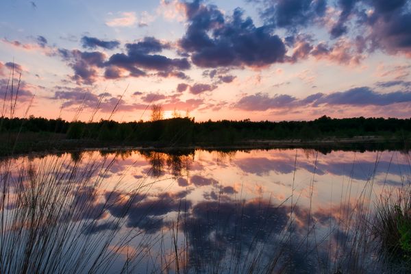 Sonnenuntergang am Südlohner Moor