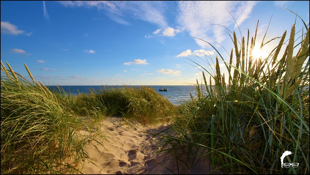 Sonnenuntergang am Sylter Strand