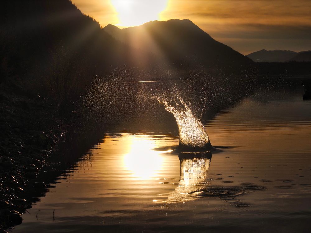 Sonnenuntergang am Sylvensteinspeichersee