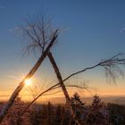 Sonnenuntergang am Tannenweg