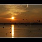 Sonnenuntergang am Tegler See