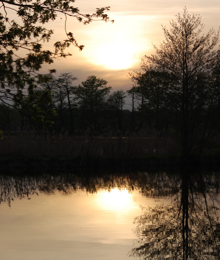 Sonnenuntergang am Teich 2