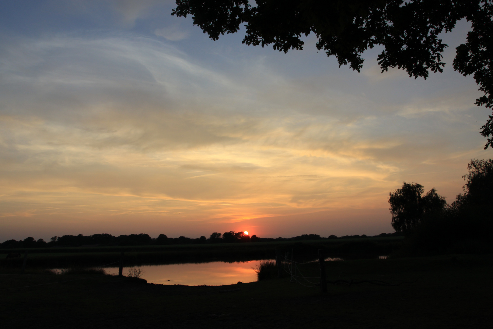 Sonnenuntergang am Teich 2 am 2.7.2010