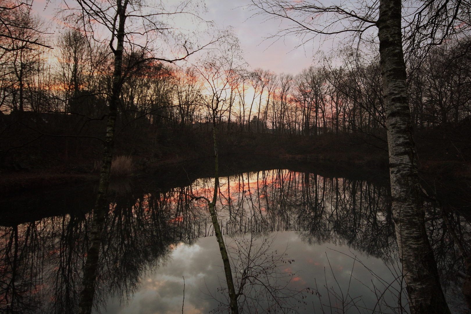 Sonnenuntergang am Teich 