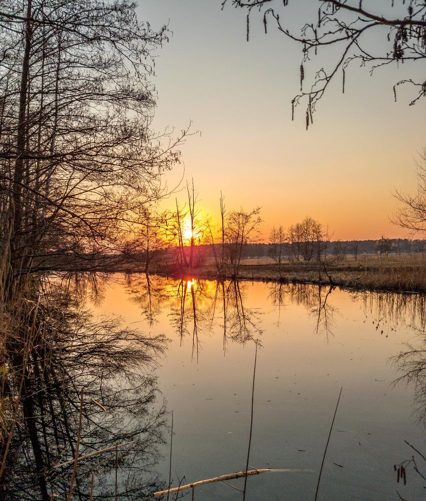 Sonnenuntergang am Teich Foto & Bild landschaft, sonnenuntergänge