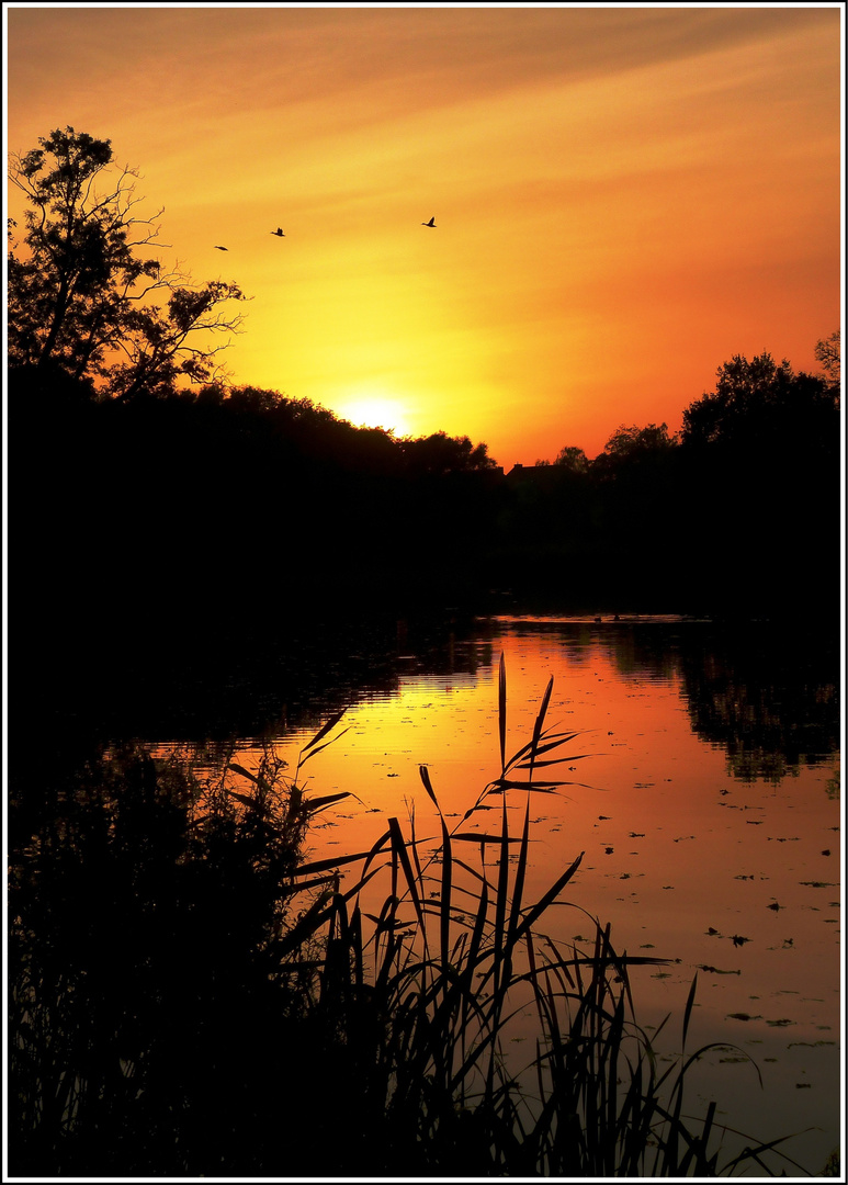Sonnenuntergang am Teich