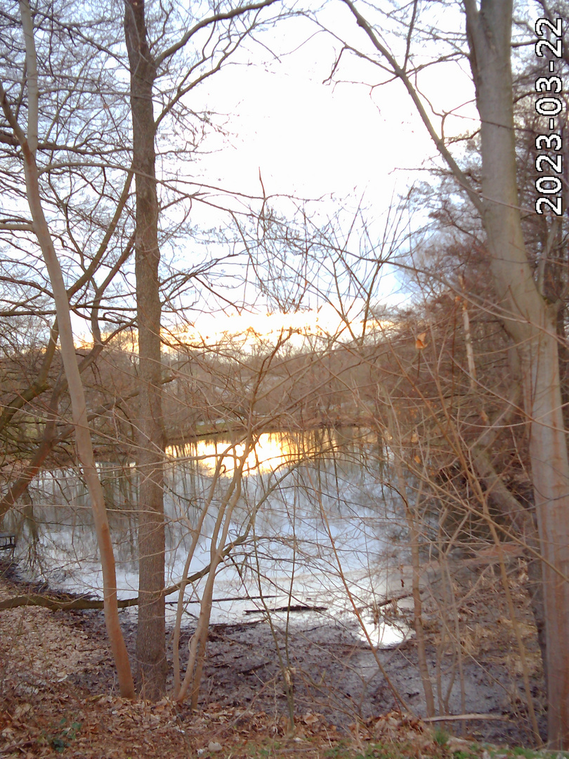 Sonnenuntergang am Teich Foto & Bild Bilder auf