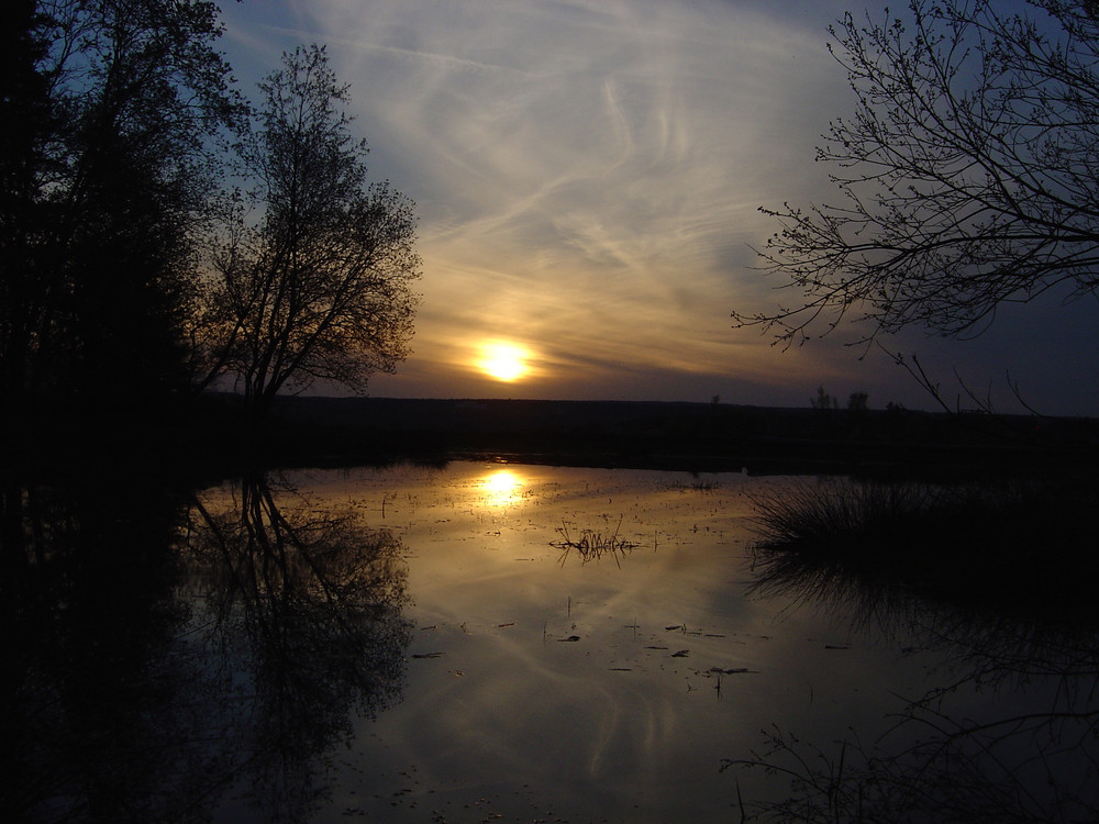 Sonnenuntergang am Teich