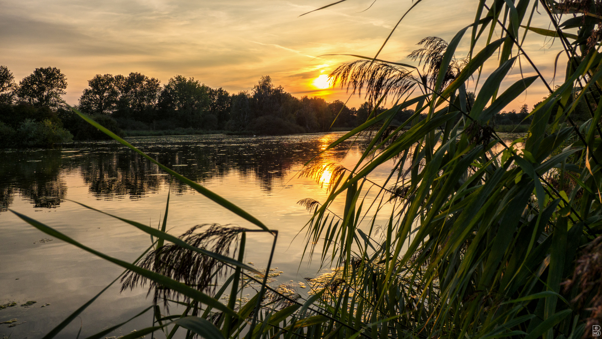 Sonnenuntergang am Teich