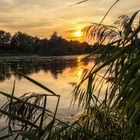 Sonnenuntergang am Teich