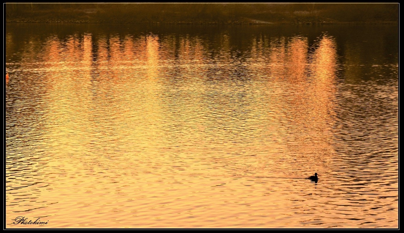 Sonnenuntergang am Teich 