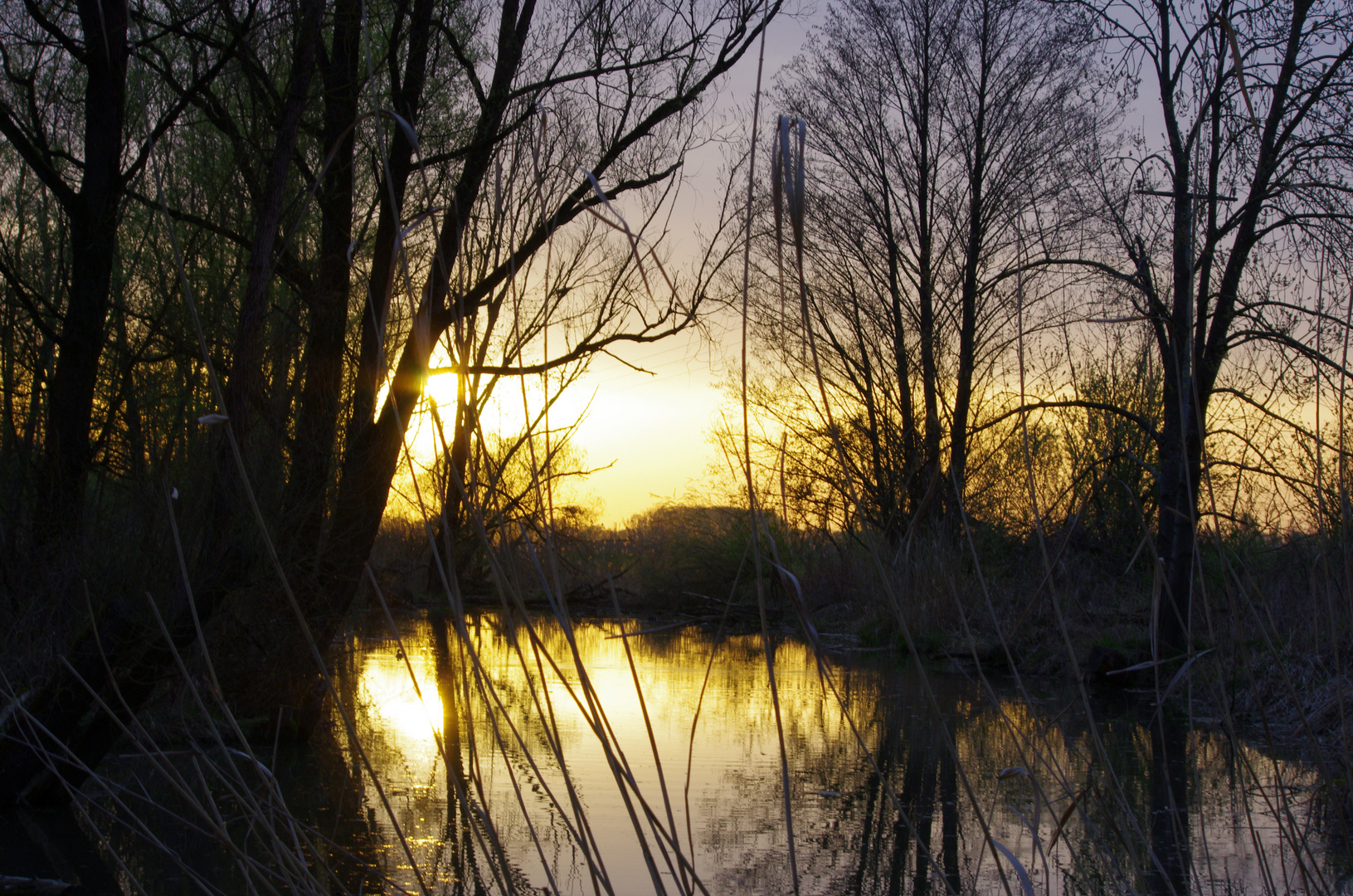 Sonnenuntergang am Teich