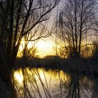 Sonnenuntergang am Teich