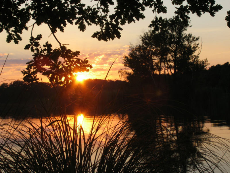 Sonnenuntergang am Teich