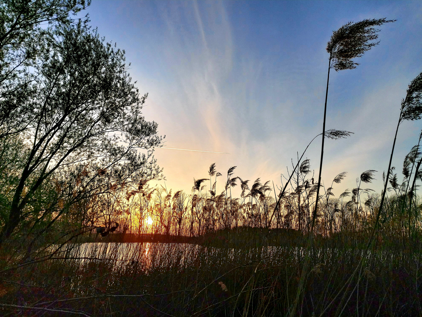 Sonnenuntergang am Teich im Landkreis Goslar 