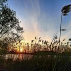 Sonnenuntergang am Teich im Landkreis Goslar 