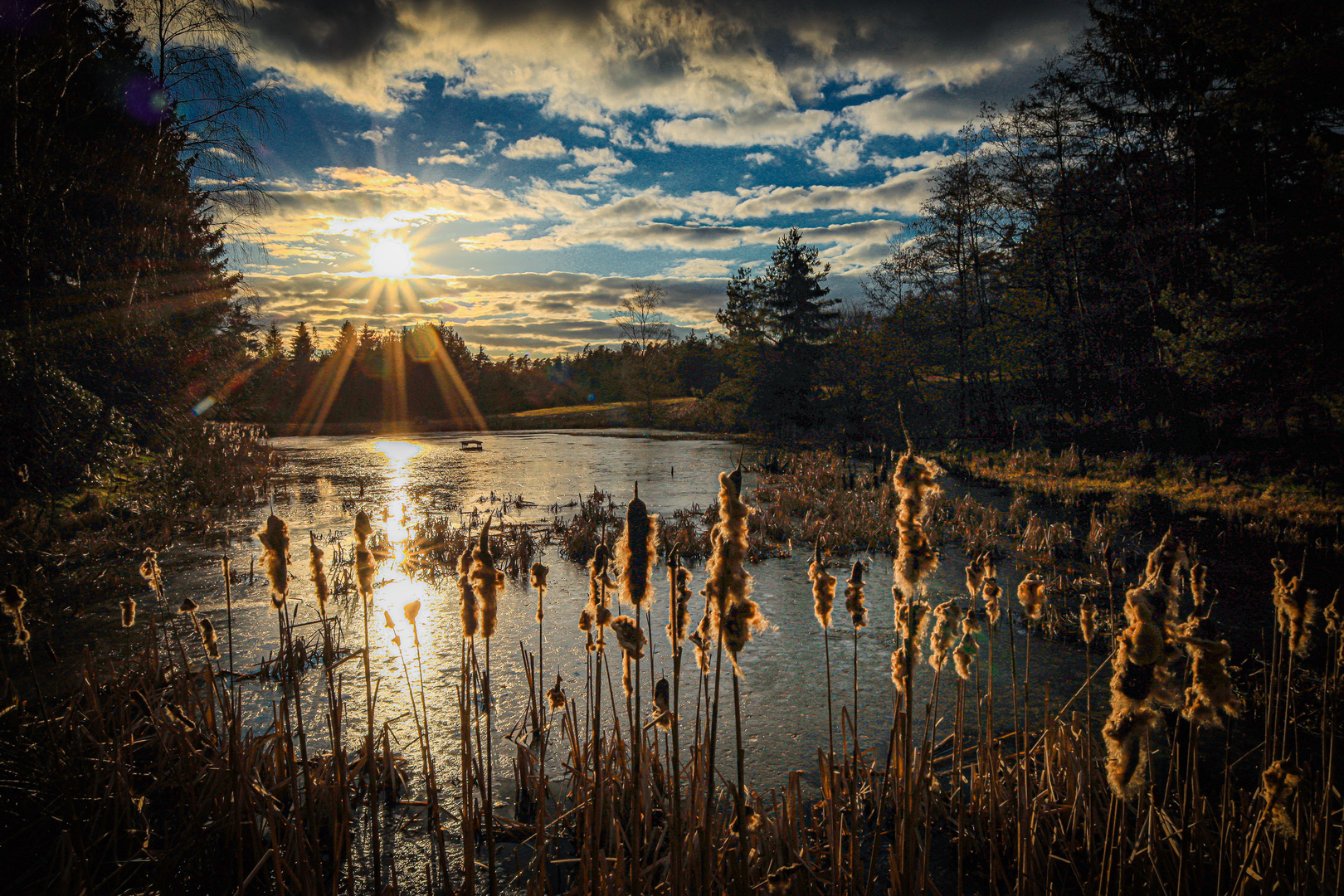 Sonnenuntergang am Teich im Wald 