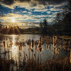 Sonnenuntergang am Teich im Wald 