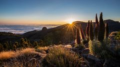 Sonnenuntergang am Teide