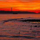 Sonnenuntergang am Tejo