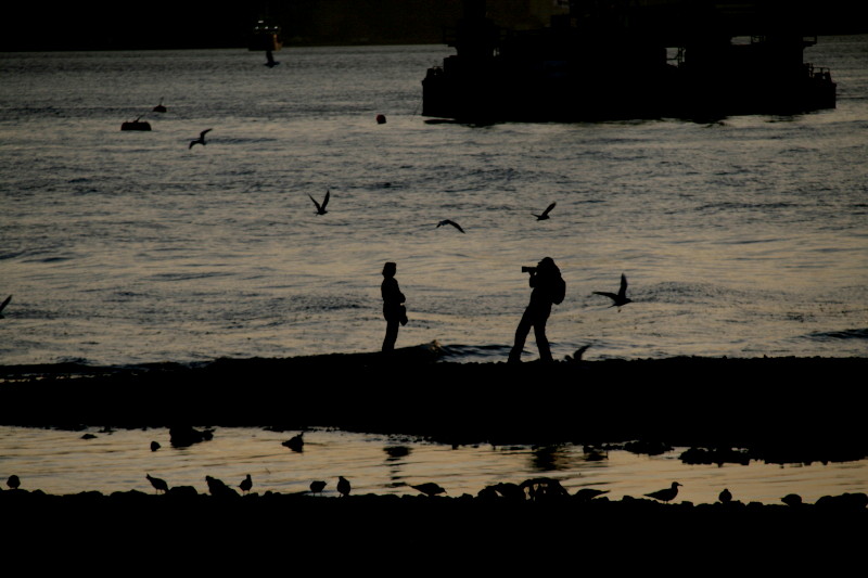 Sonnenuntergang am Tejo