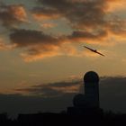 Sonnenuntergang am Teufelsberg 3