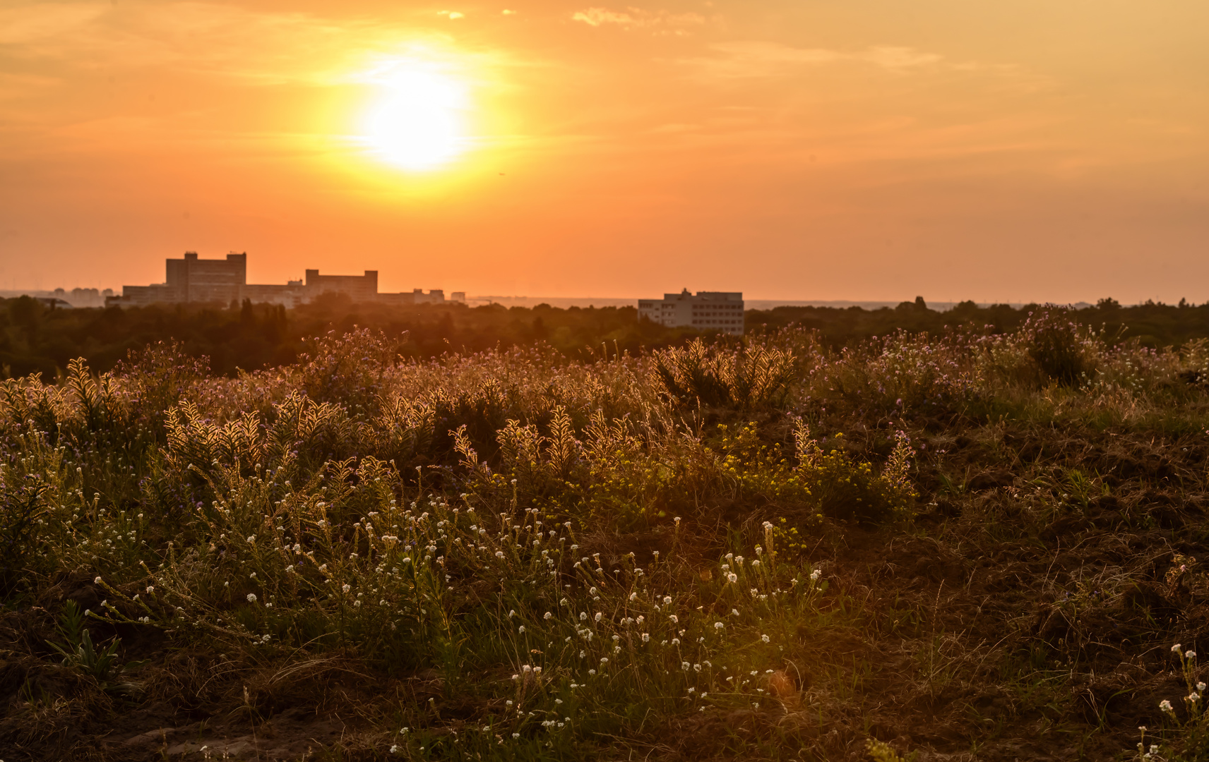 Sonnenuntergang am Teufelsberg, Berlin