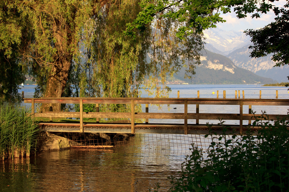 Sonnenuntergang am Thunersee