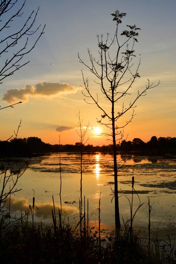 Sonnenuntergang am Tibaum