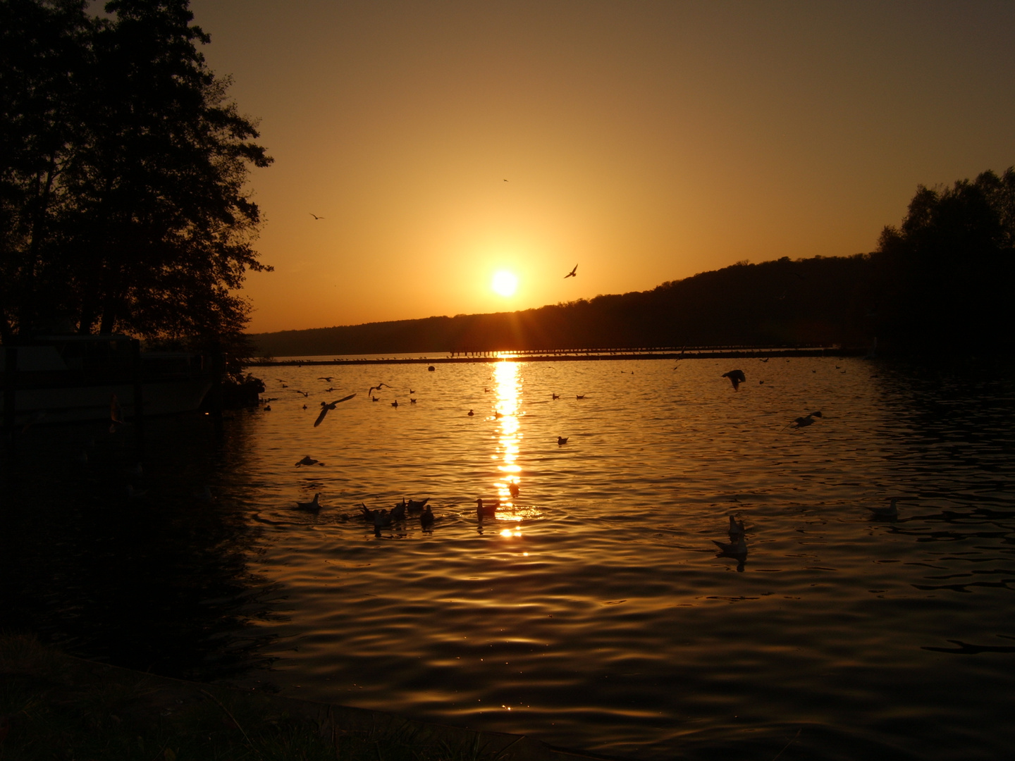 Sonnenuntergang am Tollensesee