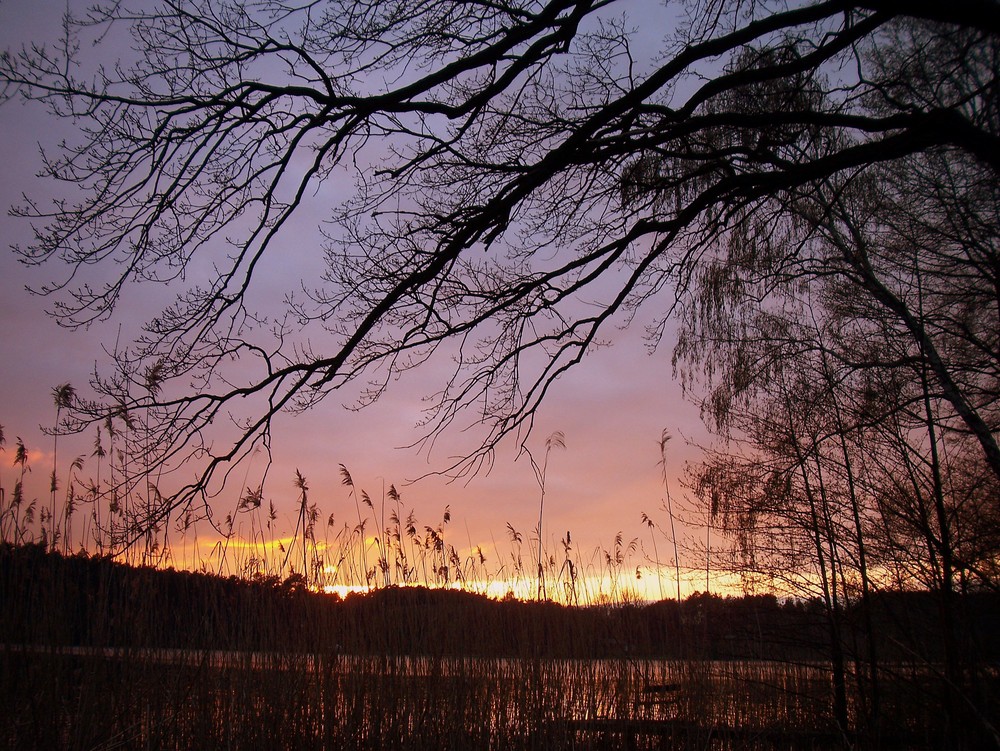 Sonnenuntergang am Tornowsee in Brandenburg