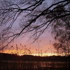 Sonnenuntergang am Tornowsee in Brandenburg