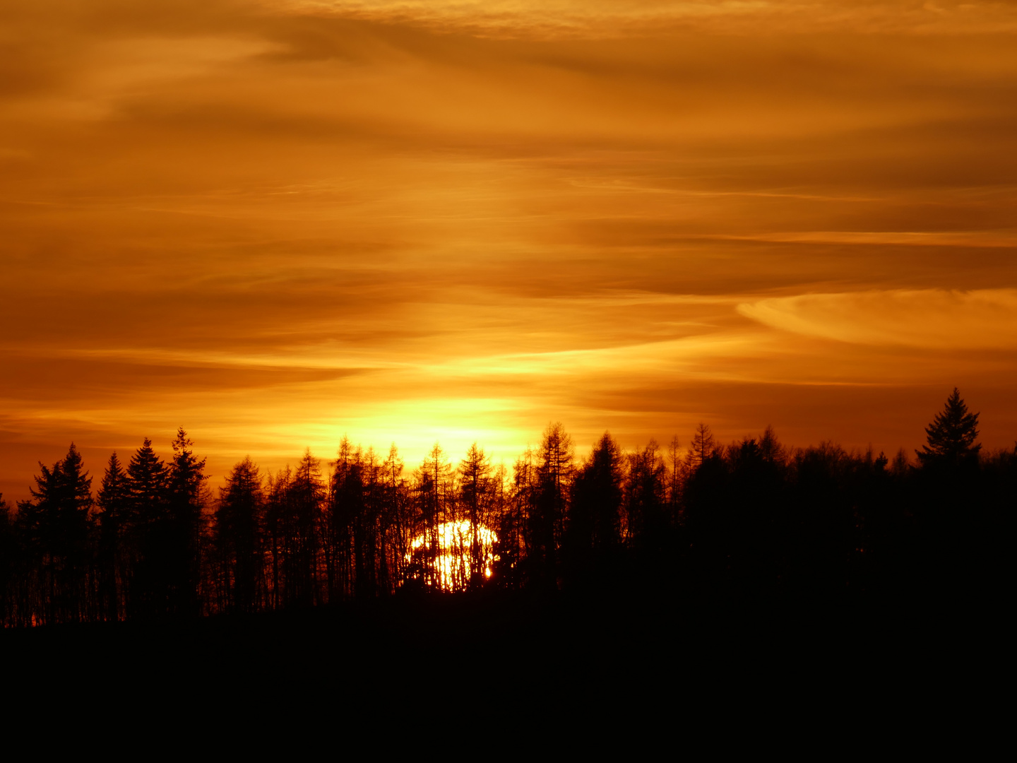 Sonnenuntergang am Trifels 