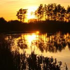 Sonnenuntergang am Tümpel