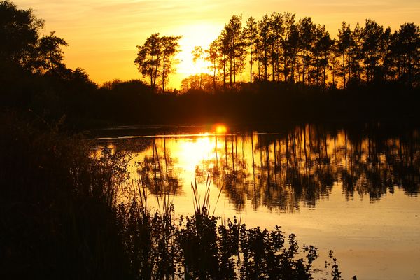 Sonnenuntergang am Tümpel