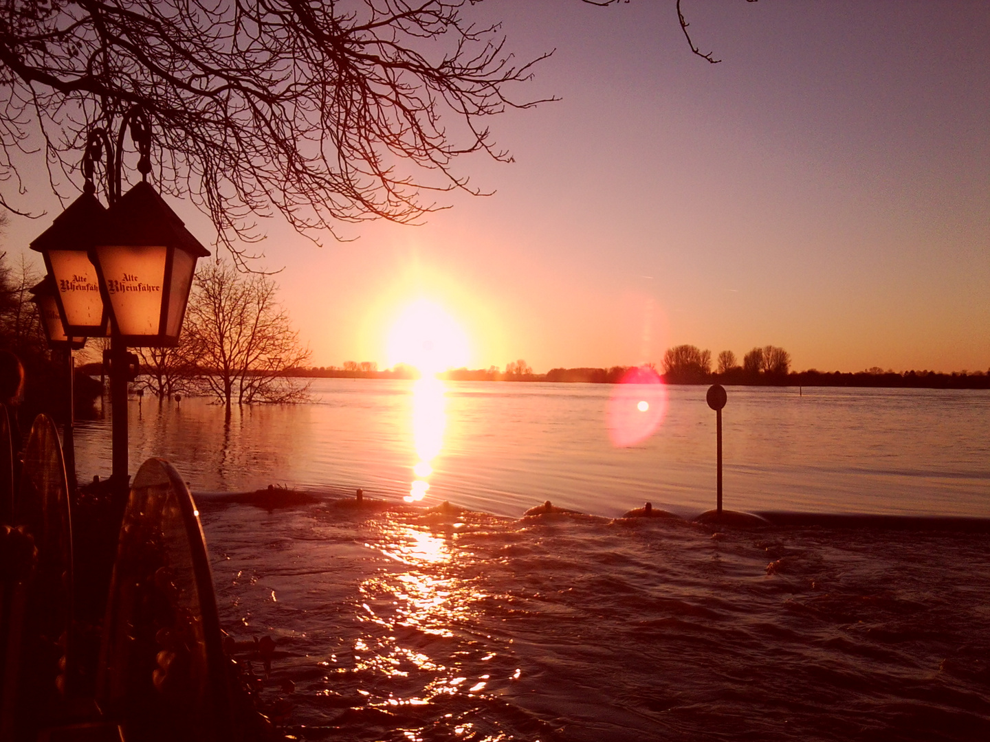 Sonnenuntergang am überfluteten Rheinufer