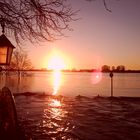 Sonnenuntergang am überfluteten Rheinufer