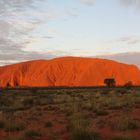 Sonnenuntergang am Uluru