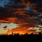 Sonnenuntergang am ULURU