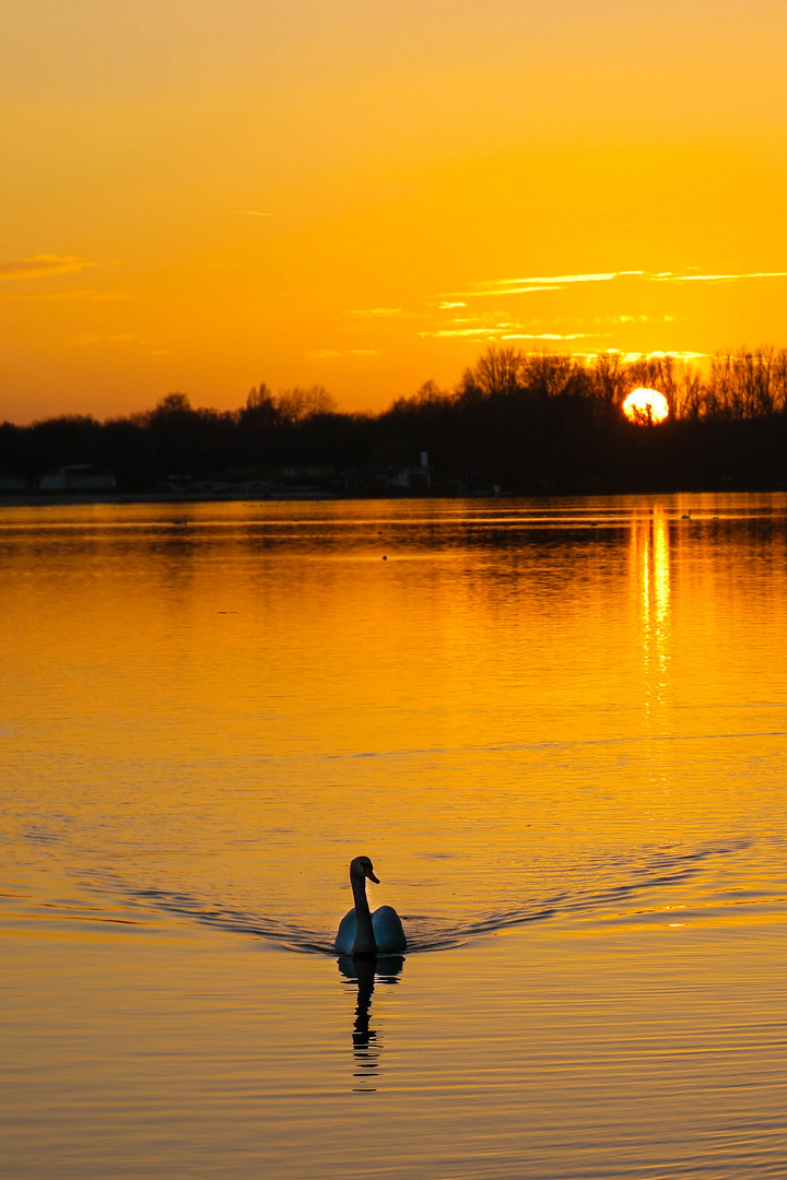 Sonnenuntergang am Unterbacher See