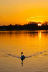 Sonnenuntergang am Unterbacher See