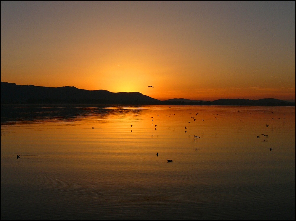 Sonnenuntergang am Untersee-2