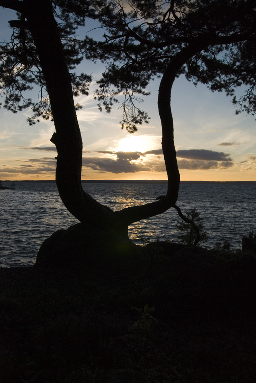 - Sonnenuntergang am Vätternsee -