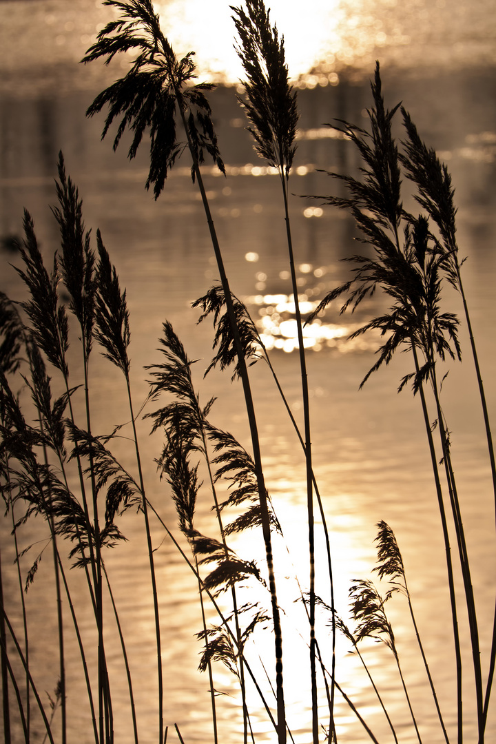 Sonnenuntergang am Vechtesee in Schüttorf