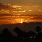 Sonnenuntergang am Venice Beach