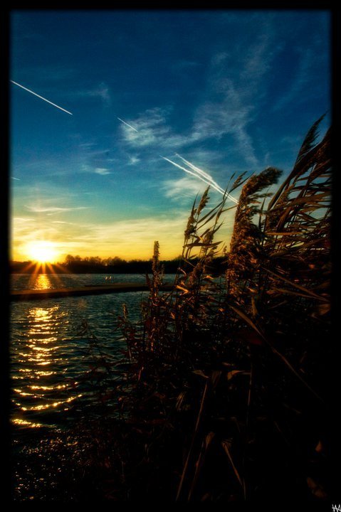 Sonnenuntergang am Viehofner See