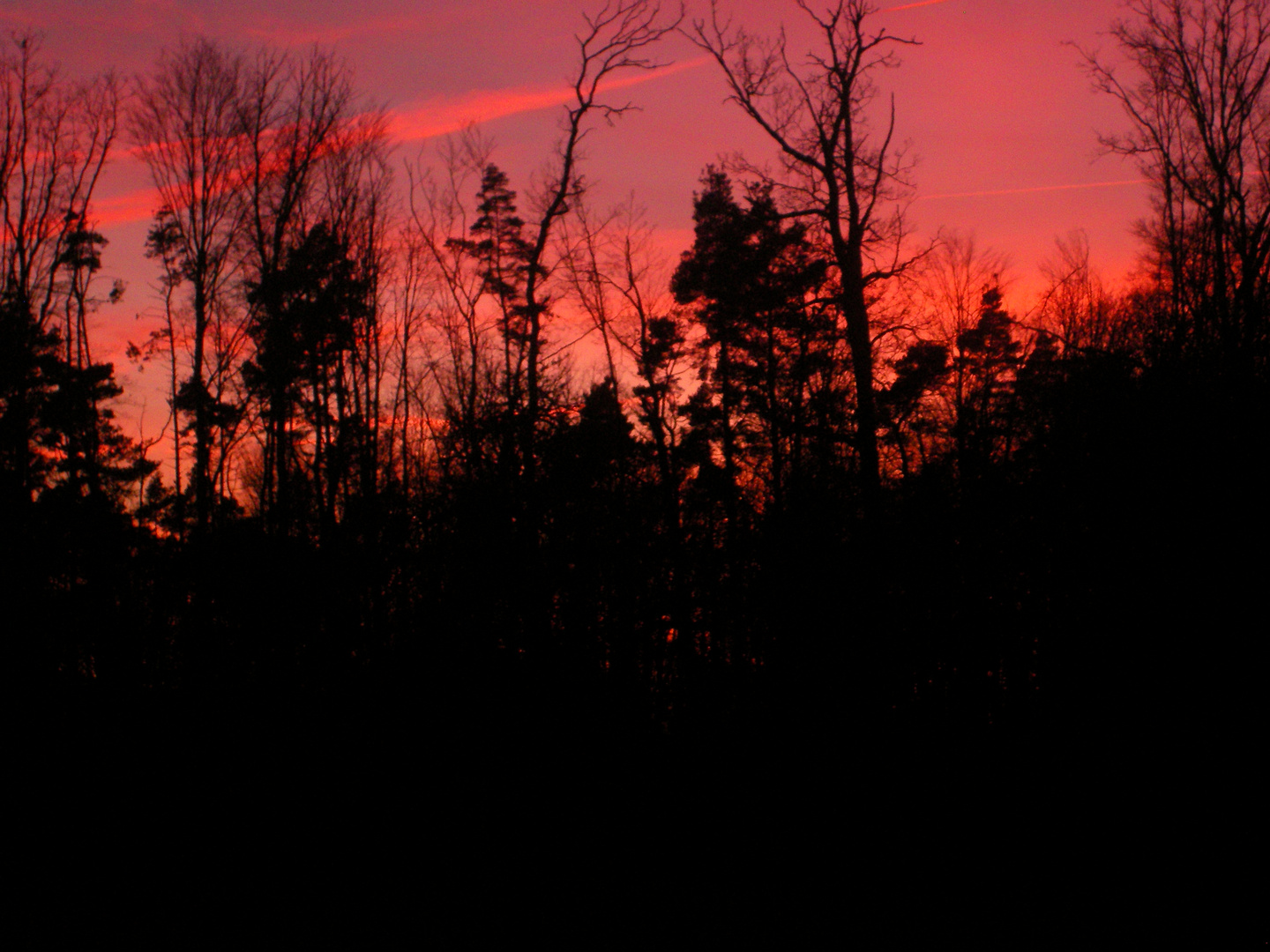 Sonnenuntergang am Wald